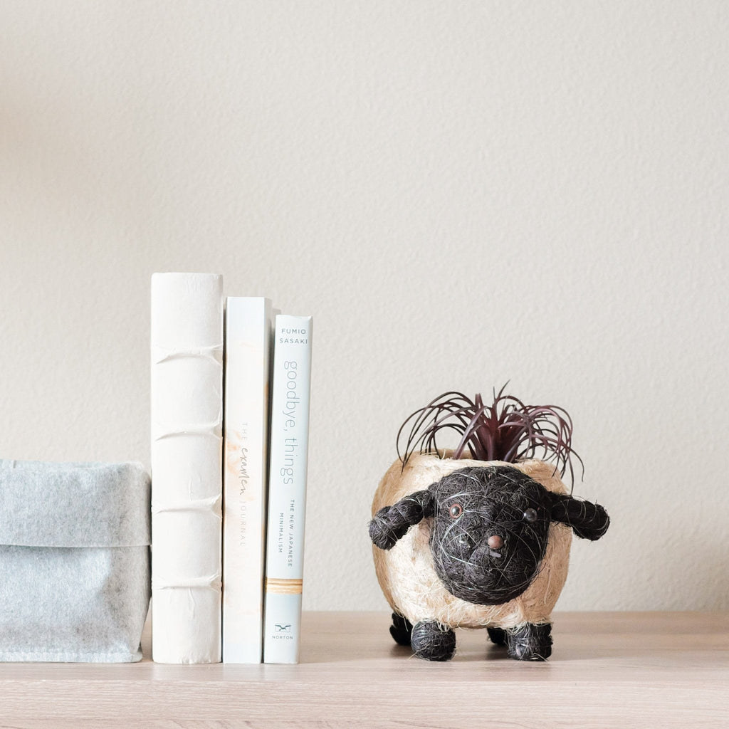 Baby Sheep Planter - Che Cose Belle