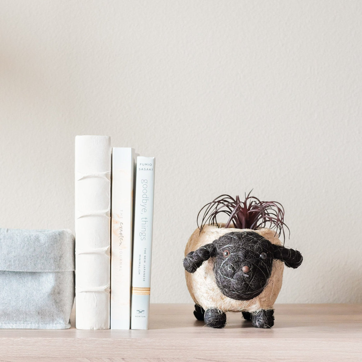 Baby Sheep Planter - Che Cose Belle