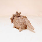 Baby Triceratops Planter - Che Cose Belle