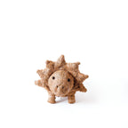 Baby Triceratops Planter - Che Cose Belle