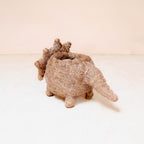 Baby Triceratops Planter - Che Cose Belle