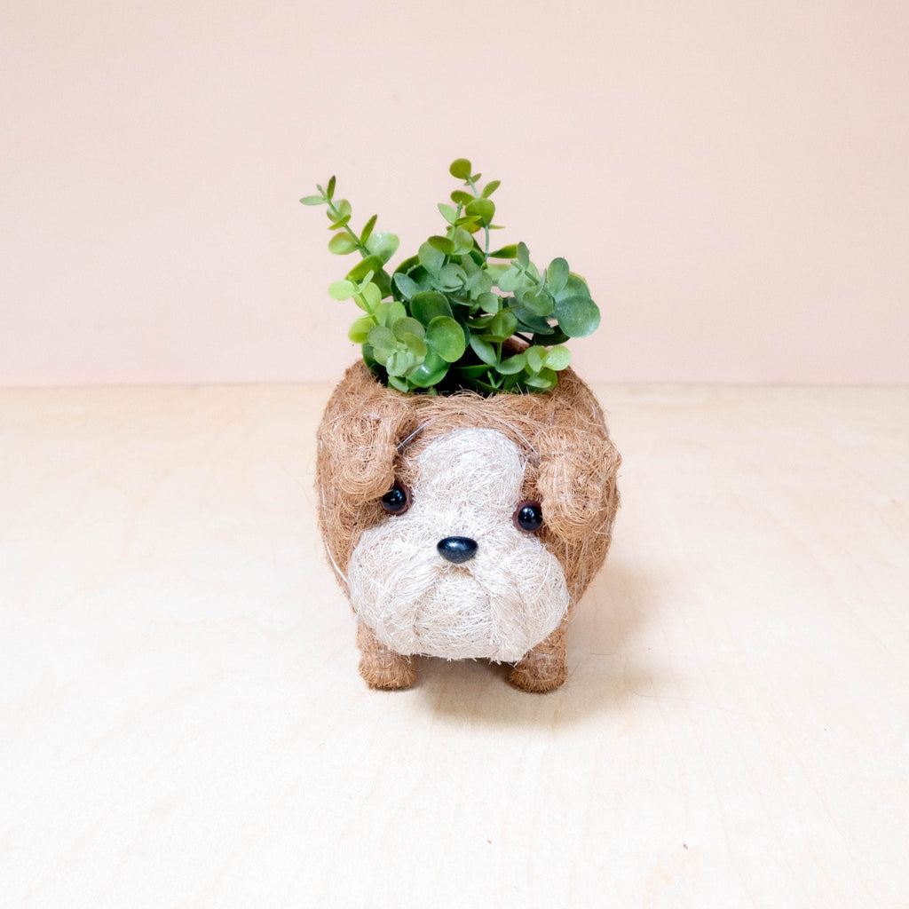 Baby English Bulldog Planter