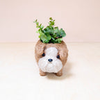 Baby English Bulldog Planter