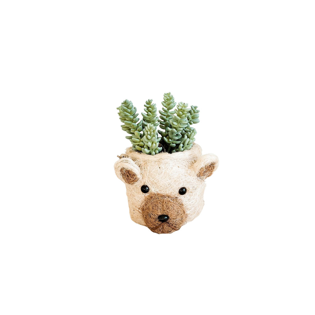 Bear Planter - Animal Head Planters