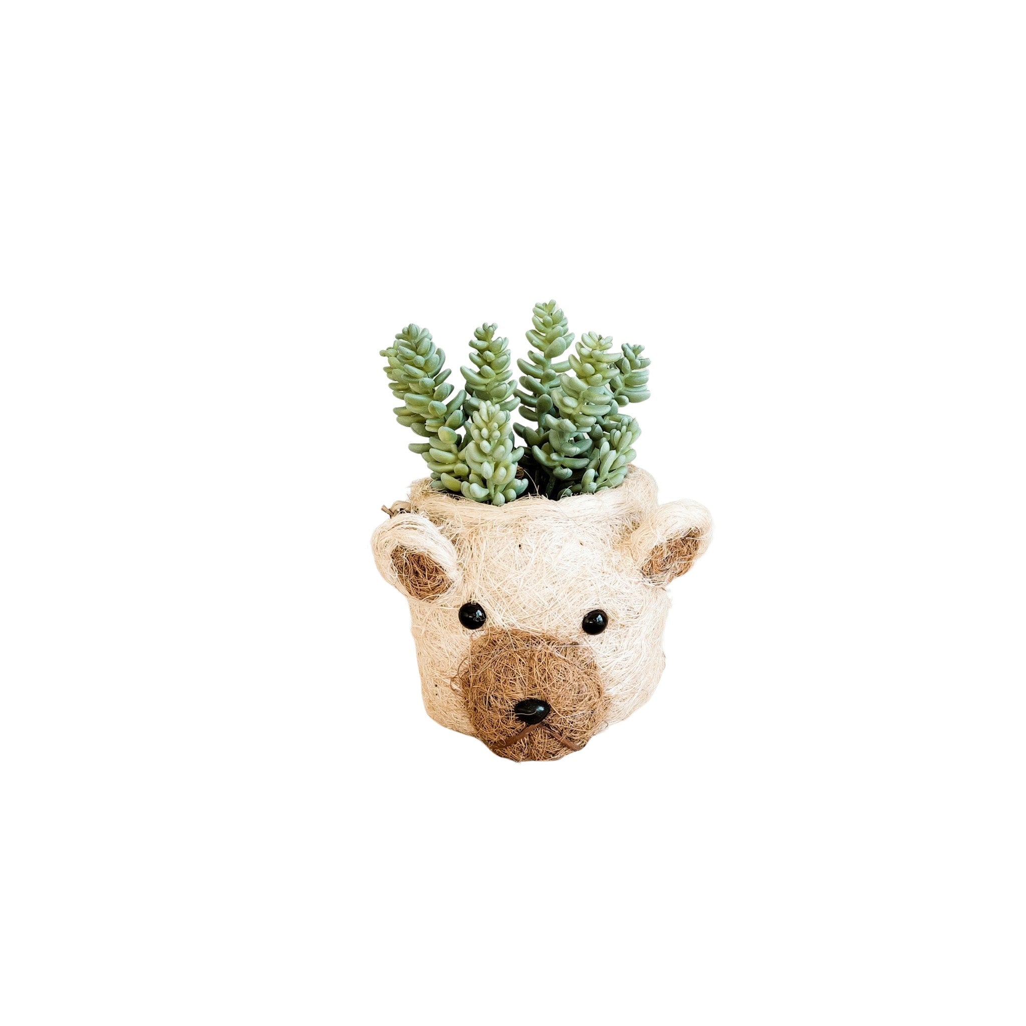 Bear Planter - Animal Head Planters