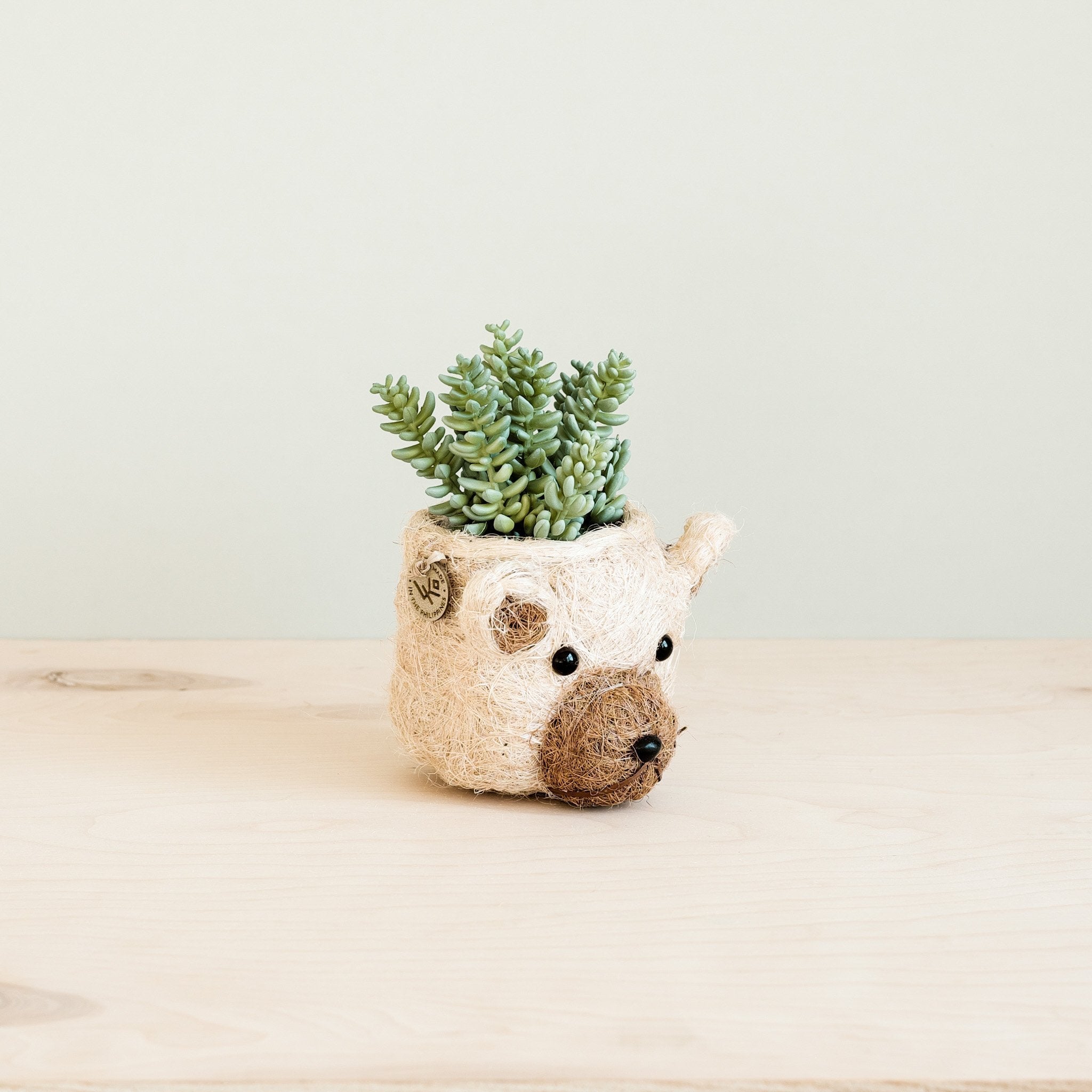 Bear Planter - Animal Head Planters - Che Cose Belle