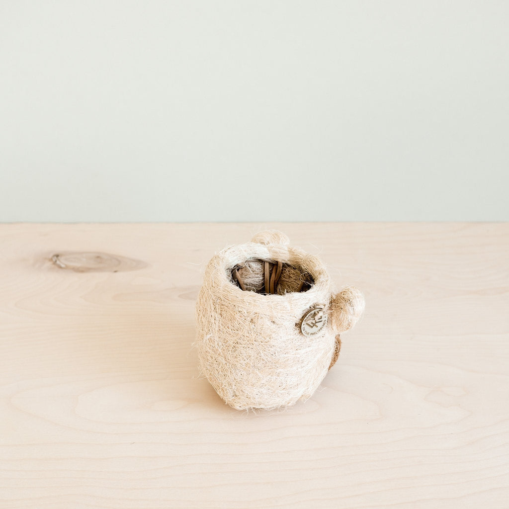 Bear Planter - Animal Head Planters - Che Cose Belle