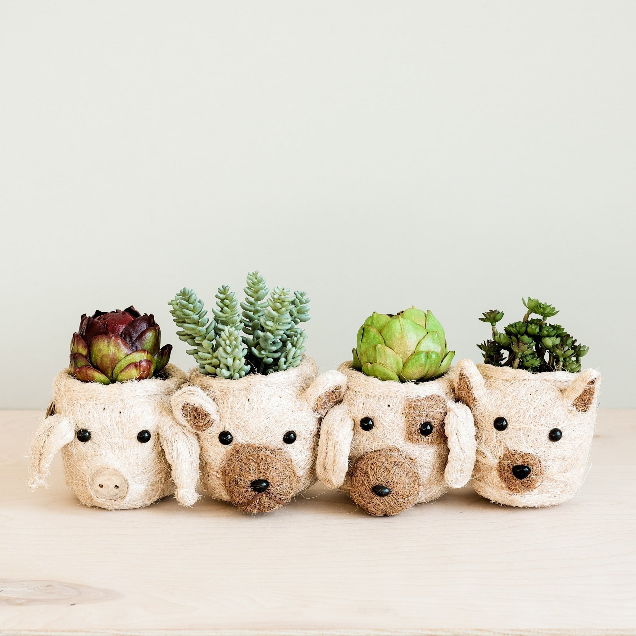 Bear Planter - Animal Head Planters - Che Cose Belle