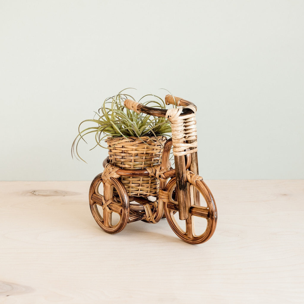 Bicycle Rattan Planter, medium - Handmade Planters | LIKHÂ - Che Cose Belle