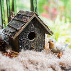 Birch Wood Decorative Bird House - Che Cose Belle
