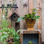 Birch Wood Decorative Bird House - Che Cose Belle