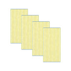 Oversized Striped Border Cabana Beach Towel - Santa Cruz