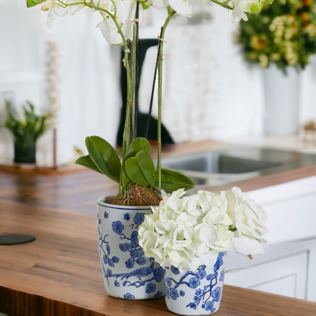 Blue White Chinoiserie Ceramic Vase Planter for Indoor Plants Decorative