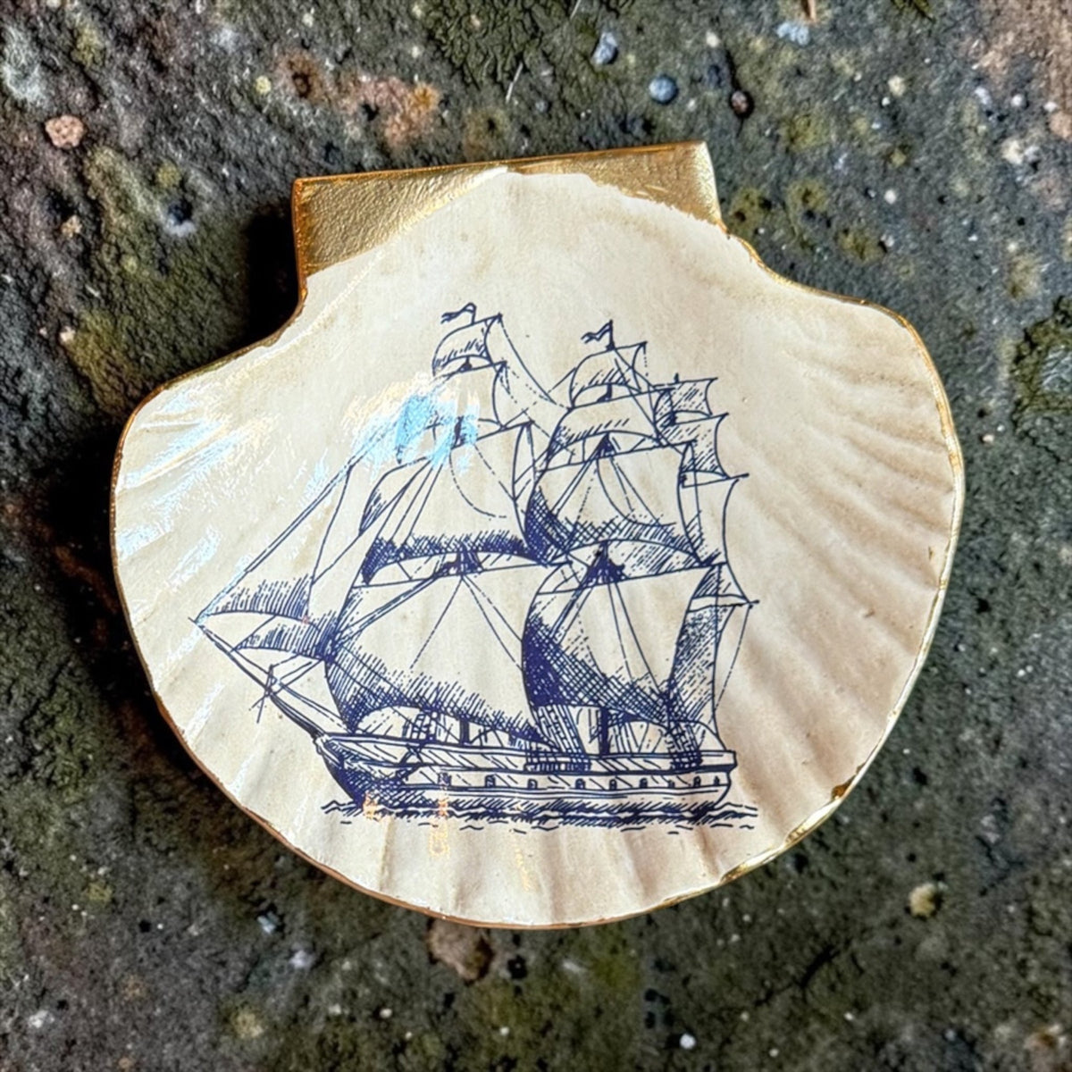 Blue & White Sea Life Shell Trinket Dish - Che Cose Belle