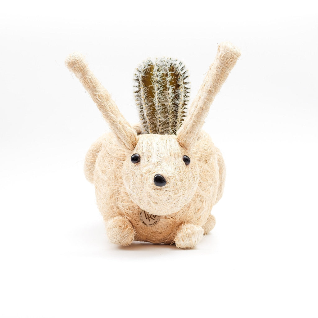 Bunny Planter - Che Cose Belle