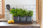 Burgon & Ball® 3 Herb Pots with Leather Handled Tray, Charcoal - Che Cose Belle