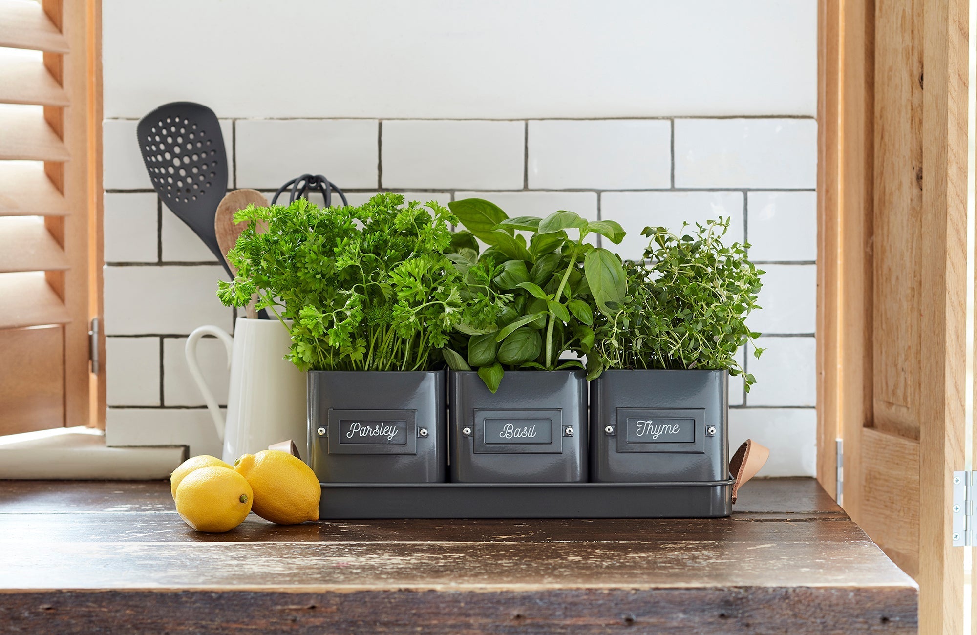 Burgon & Ball® 3 Herb Pots with Leather Handled Tray, Charcoal - Che Cose Belle