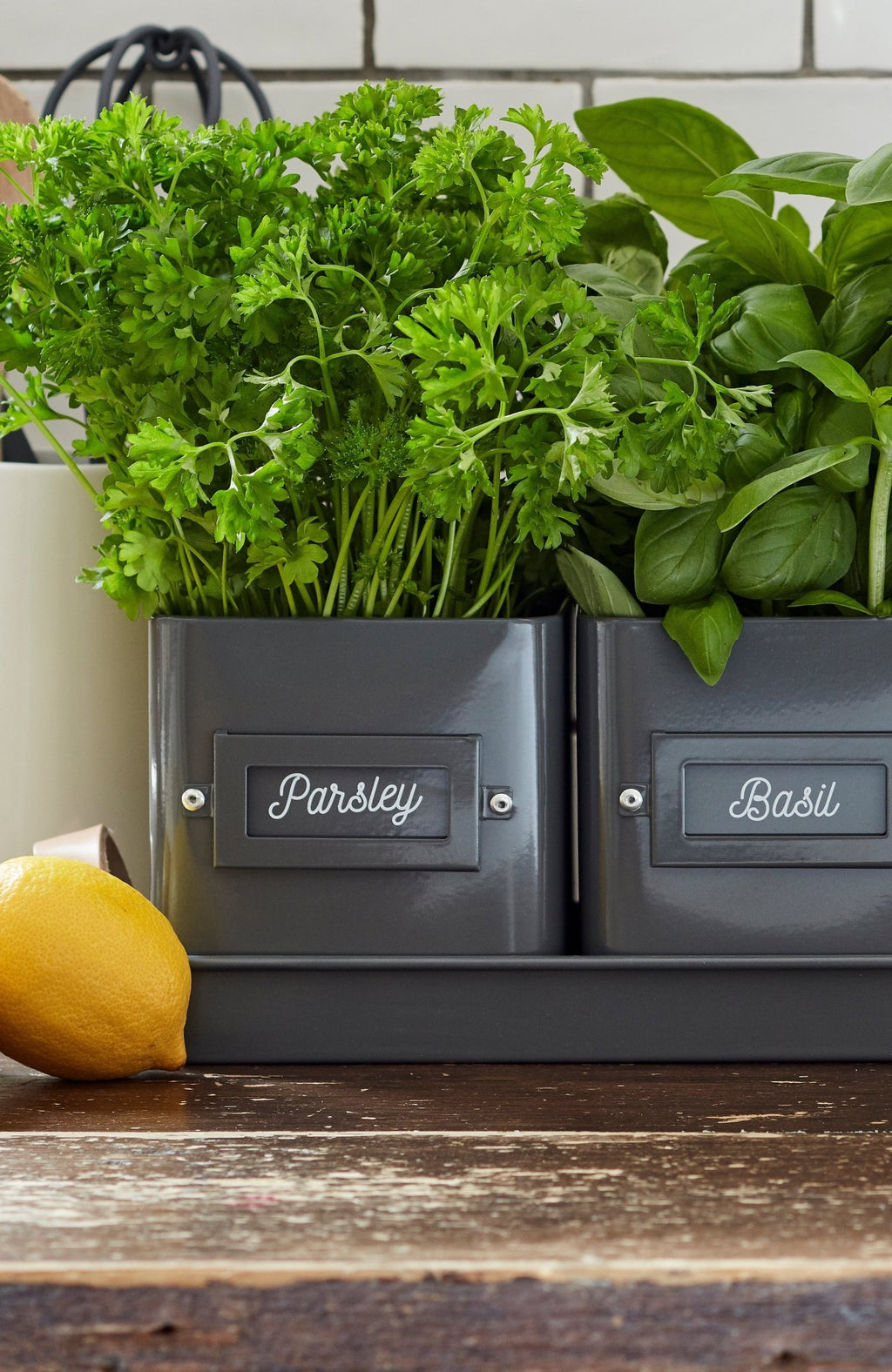 Burgon & Ball® 3 Herb Pots with Leather Handled Tray, Charcoal - Che Cose Belle