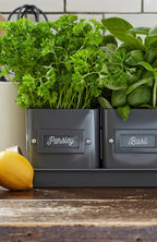 Burgon & Ball® 3 Herb Pots with Leather Handled Tray, Charcoal - Che Cose Belle
