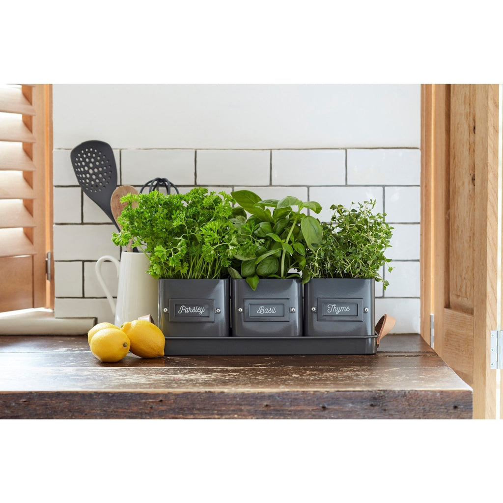 Burgon & Ball® 3 Herb Pots with Leather Handled Tray, Charcoal - Che Cose Belle