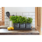 Burgon & Ball® 3 Herb Pots with Leather Handled Tray, Charcoal - Che Cose Belle