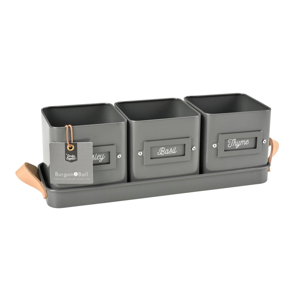 Burgon & Ball® 3 Herb Pots with Leather Handled Tray, Charcoal - Che Cose Belle