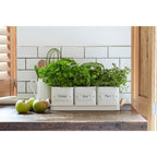 Burgon & Ball® 3 Herb Pots with Leather Handled Tray, Stone - Che Cose Belle