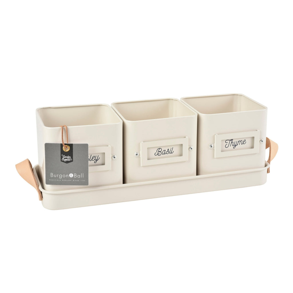Burgon & Ball® 3 Herb Pots with Leather Handled Tray, Stone - Che Cose Belle