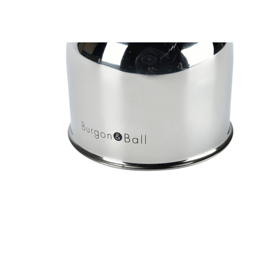 Burgon & Ball® Indoor Plant Mister, Stainless Steel - Che Cose Belle