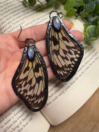 Butterfly Wing and Moonstone Earrings - Che Cose Belle