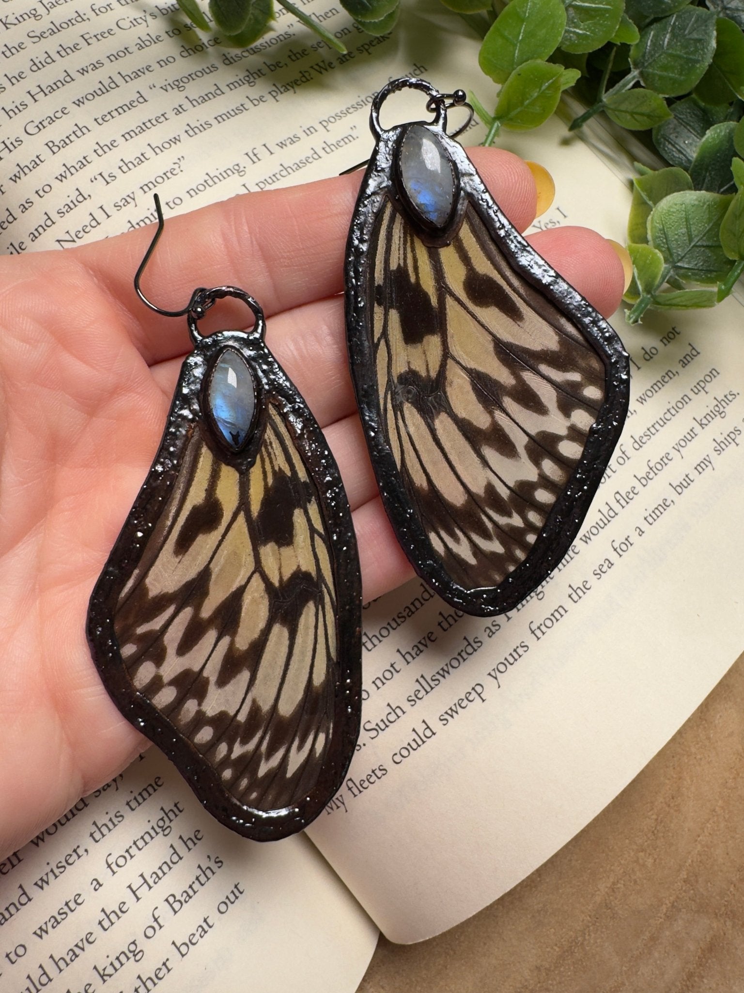 Butterfly Wing and Moonstone Earrings - Che Cose Belle