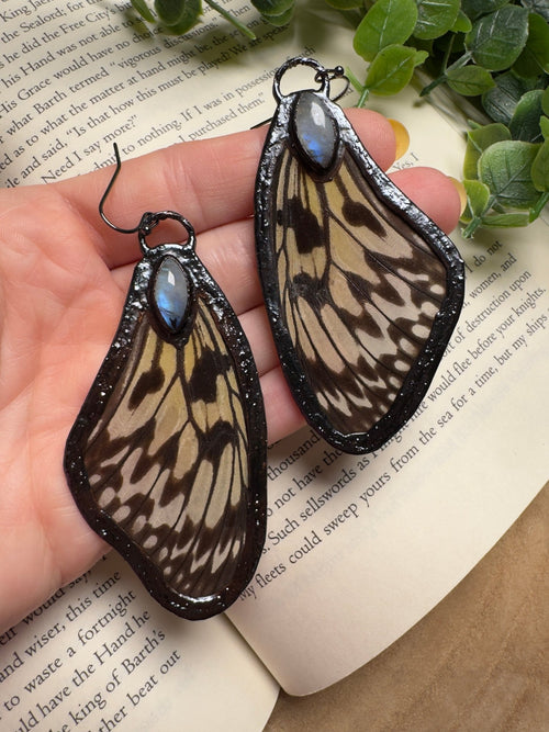 Butterfly Wing and Moonstone Earrings - Che Cose Belle