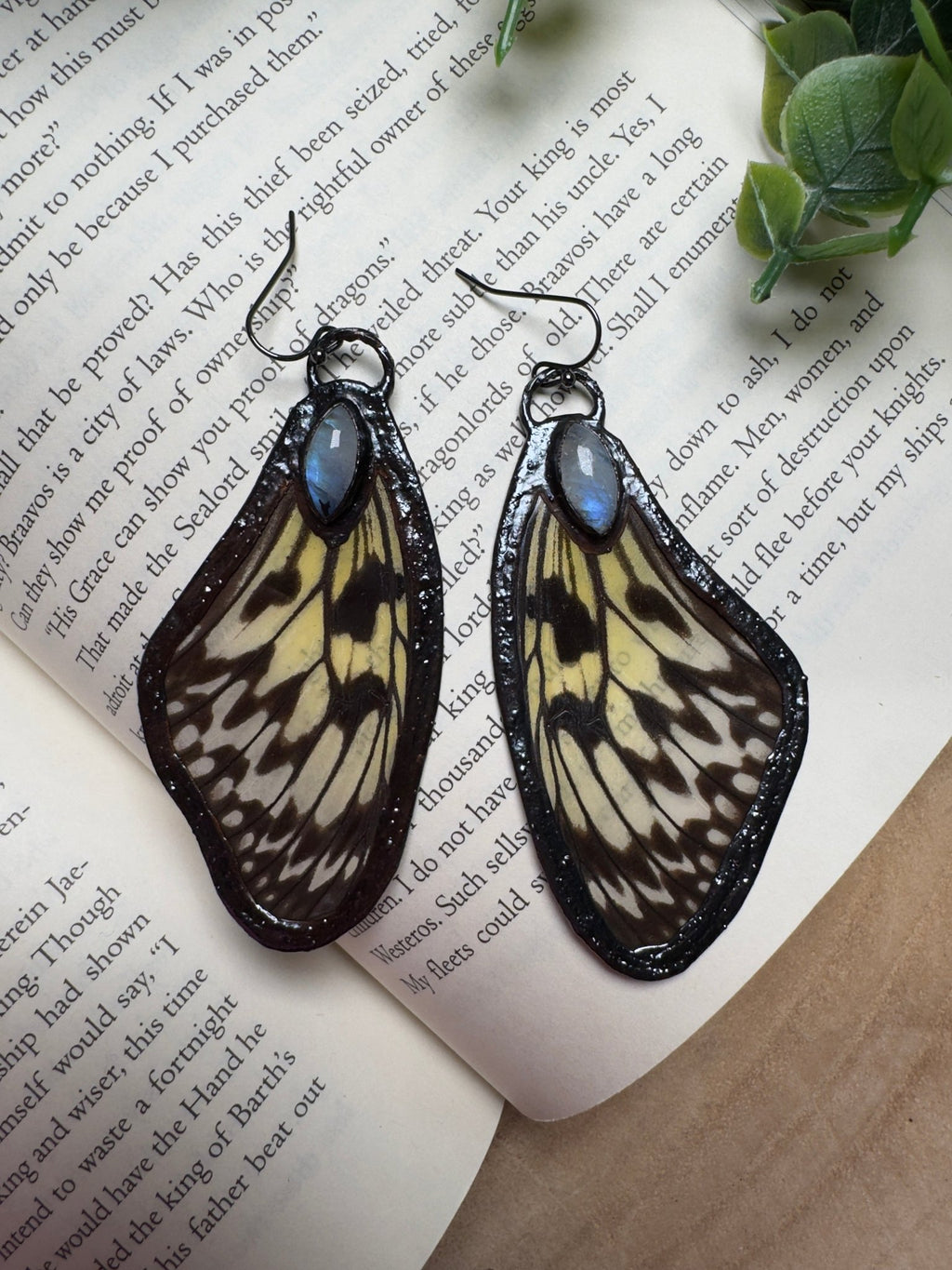 Butterfly Wing and Moonstone Earrings - Che Cose Belle