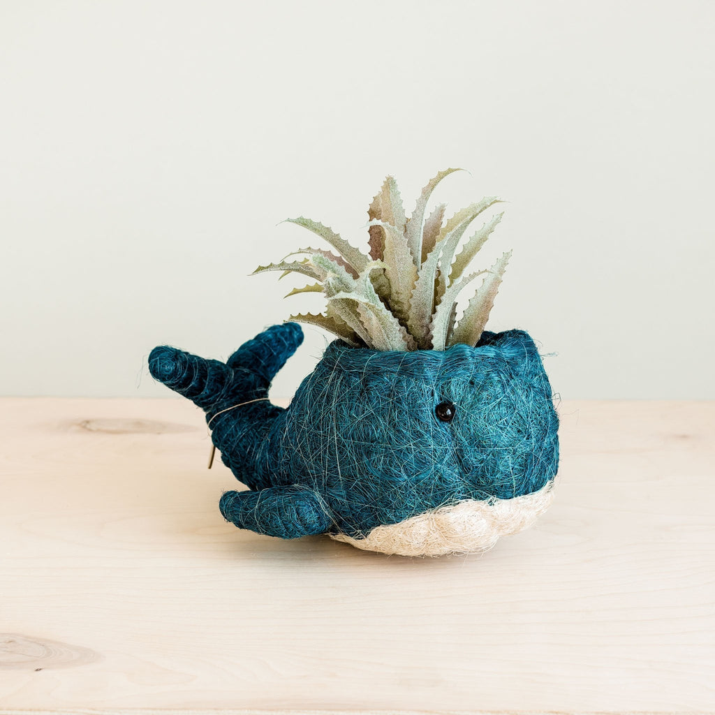 Wicker Whale Planter - Coco Planter