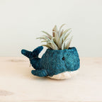 Wicker Whale Planter - Coco Planter