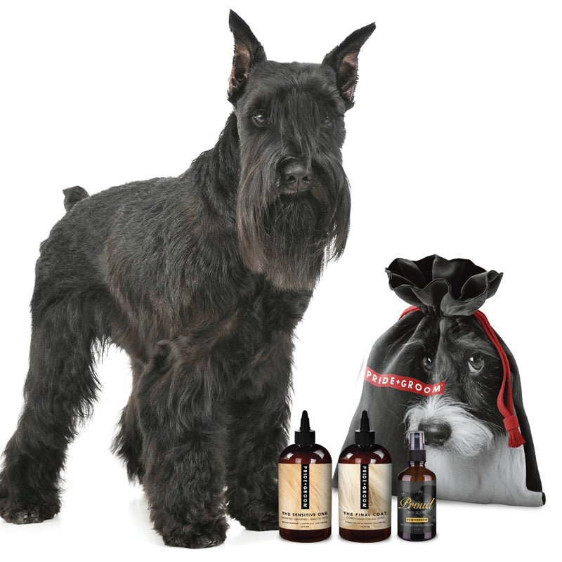 THE SMALL DELUXE DOGGY BAG — Luxury Dog Grooming Kit with 12oz Coat-Specific Shampoo, Conditioner & Signature Scent