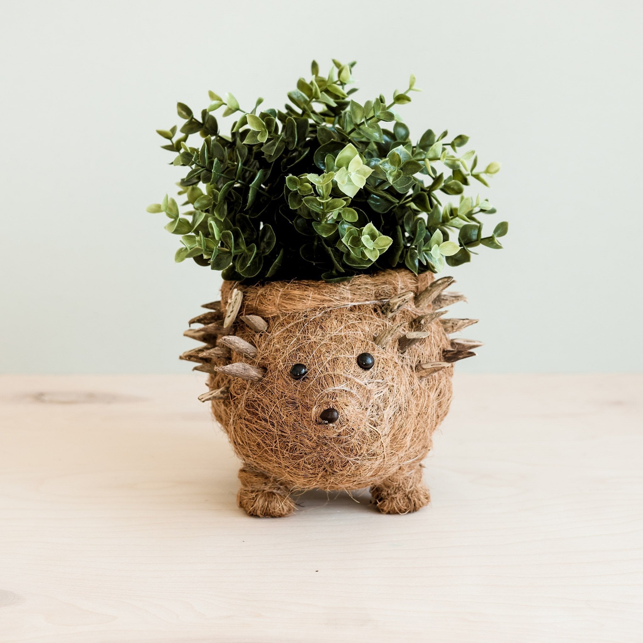 Hedgehog Planter - Coco Planter