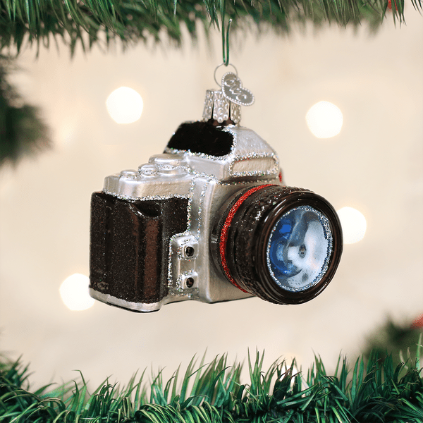 Camera Glass Ornament - Che Cose Belle