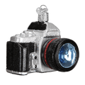Camera Glass Ornament - Che Cose Belle