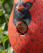 Cardinal Gord-O Wooden Birdhouse - Che Cose Belle