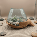 Carved Wooden Hand and Molten Glass Terrarium - Che Cose Belle