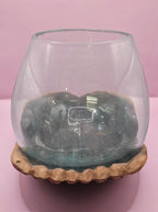 Carved Wooden Hand and Molten Glass Terrarium - Che Cose Belle