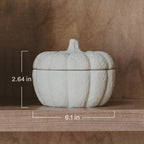 Cashmere and Vanilla Soy Candle - Cement Pumpkin Jar - 13.5 oz - Che Cose Belle
