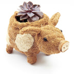 Pig Planter - Coco Coir Pots