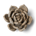 Ceramic Flower Wall Art Succulent Blue 12: Succulent Light Blue - Che Cose Belle