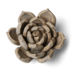 Ceramic Flower Wall Art Succulent Blue 12: Succulent Light Blue - Che Cose Belle