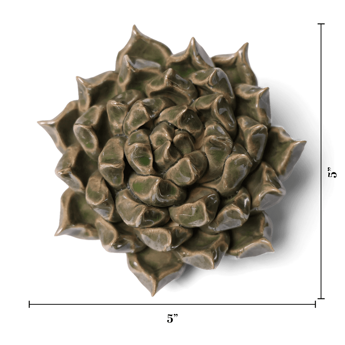 Ceramic Flower Wall Art Succulent Green 6: Large Succulent Green - Che Cose Belle