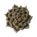 Ceramic Flower Wall Art Succulent Green 6: Large Succulent Green - Che Cose Belle