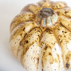 Ceramic Pumpkin - Che Cose Belle