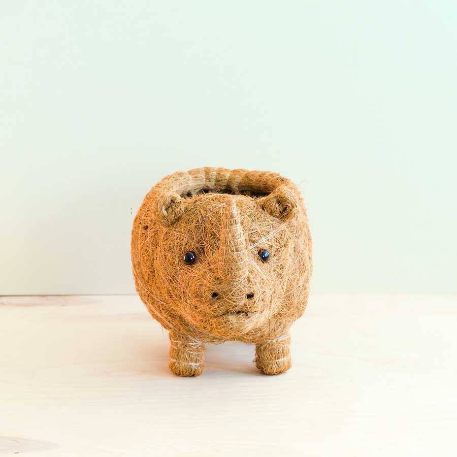 Baby Rhino Planter